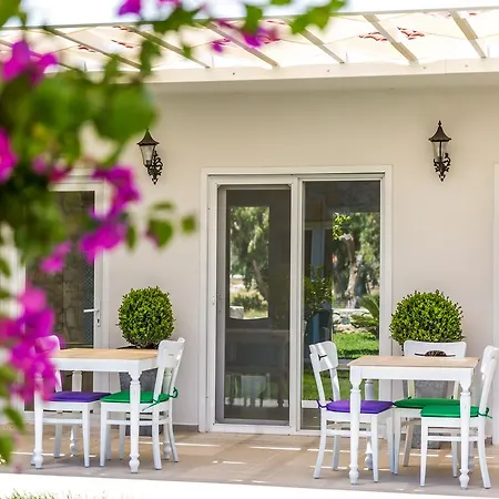 酒店 Kalina 达特恰