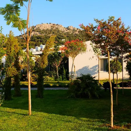 Kalina Hotel