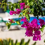 Kalina Hotel *