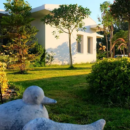 Kalina Hotel *
