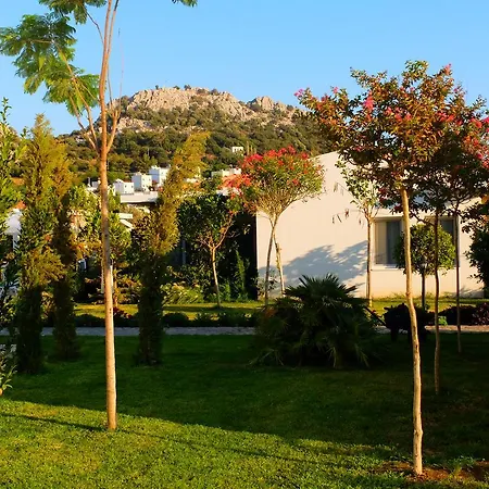 Kalina Hotel